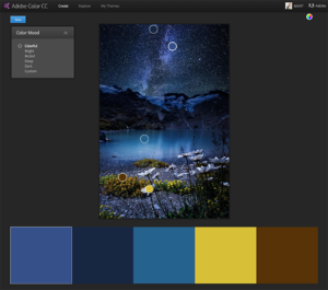 11 Web Design Principles You Need to Try + Current Trends!