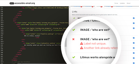litmus email accessibility test