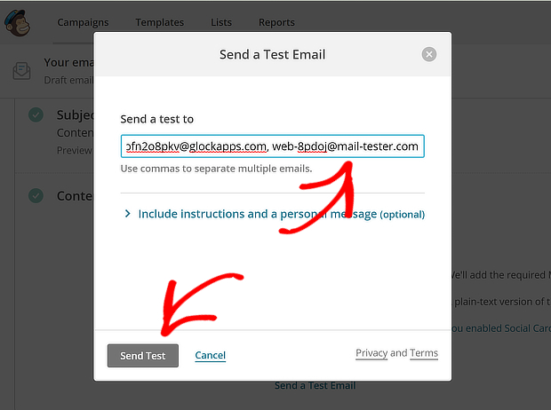 mailchimp send test email - email deliverability tool