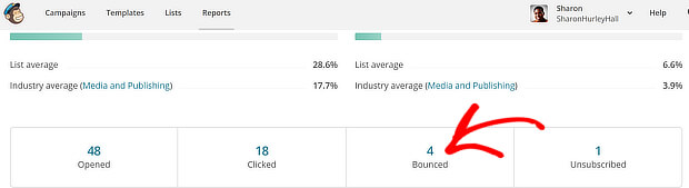 mailchimp bounces - double opt in vs single opt in