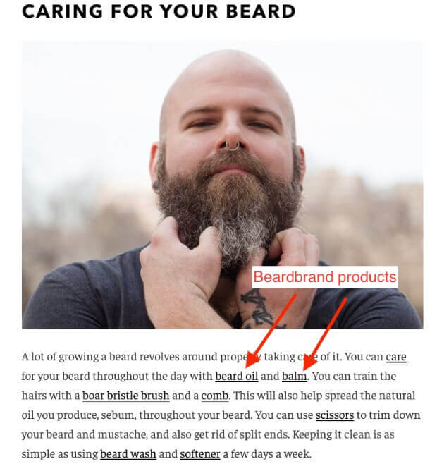 beardbrand product plug