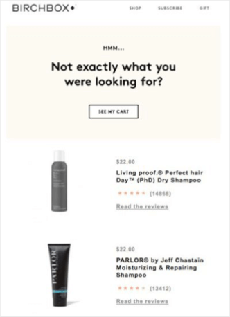 birchbox_abandoned_cart_email_top