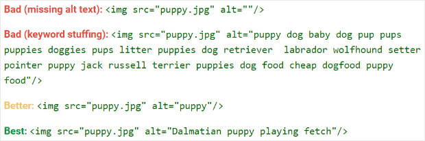 google_image_alt_text_best_practices
