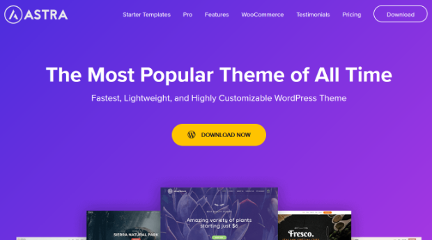 astra best wordpress themes for woocommerce