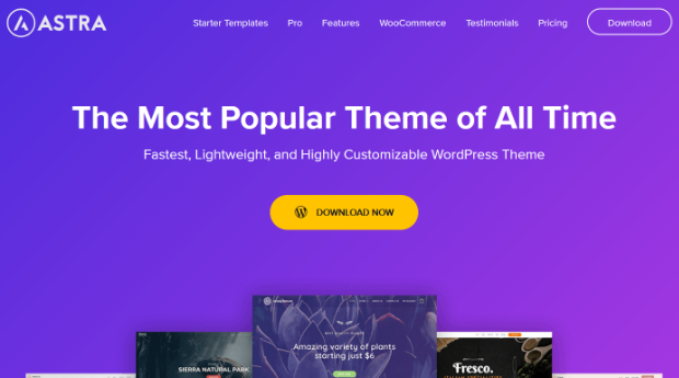 astra wordpress theme for wordpress seo