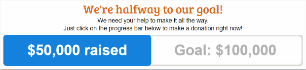 fundraising progress bar example