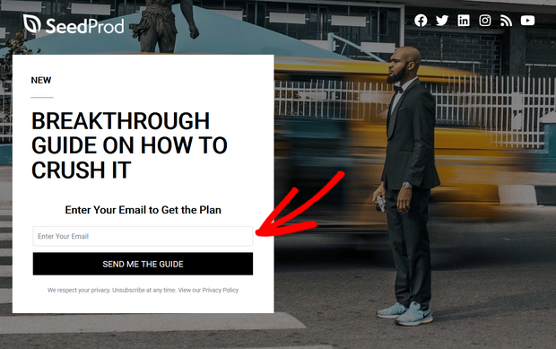 keep your landing page forms short