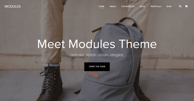 modules best woocommerce theme