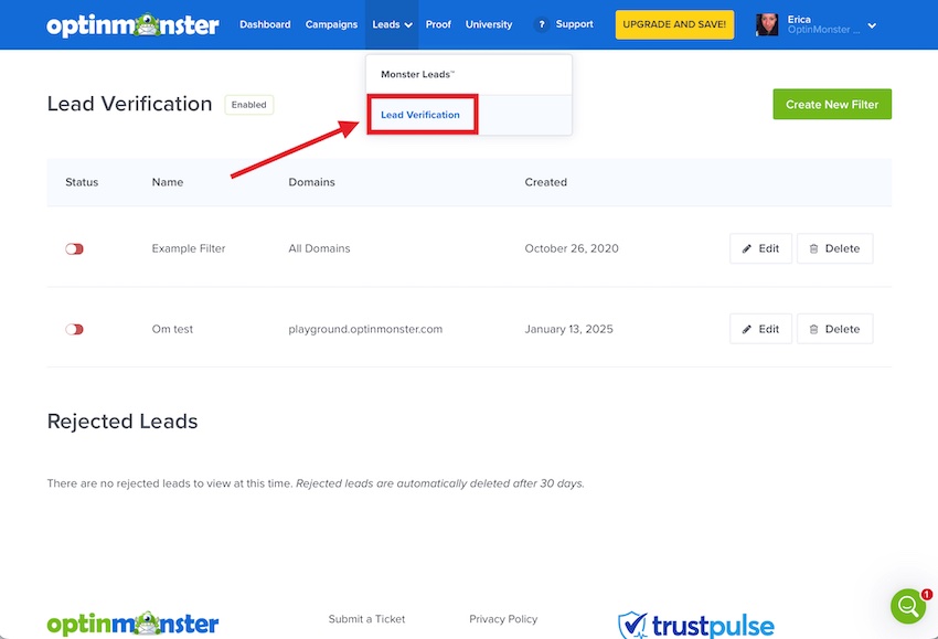 The OptinMonster Lead Verification feature allows you to create custom filters for form submissions.
