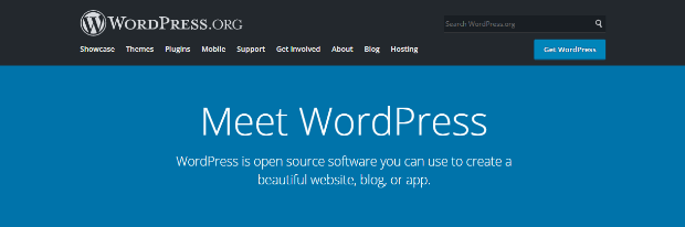 Pagina de start WordPress