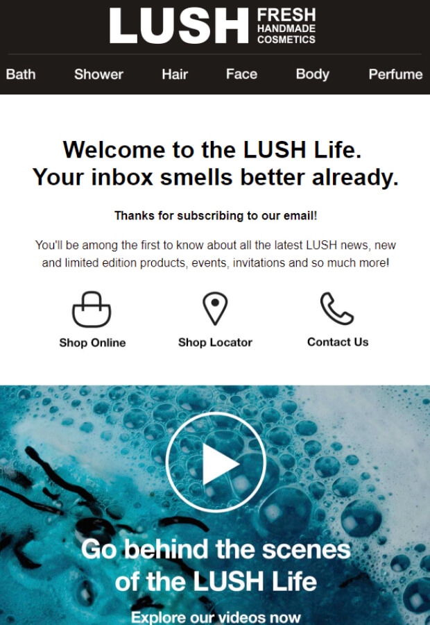 lush-behind-the-scenes-newsletter-idea