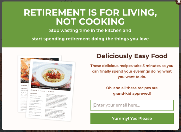 add for retired people in their 50s for an affiliate email marketing lead generator