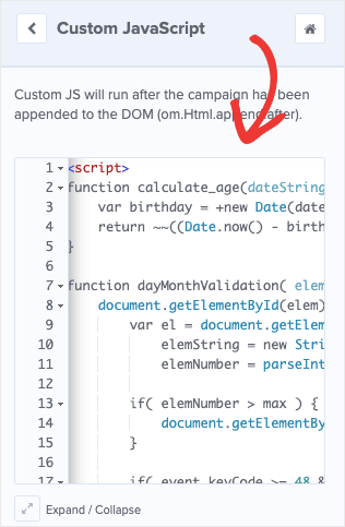 Custom JavaScript code input