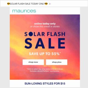 What Is a Flash Sale? Plan & Promote Your Limited-Time Deals