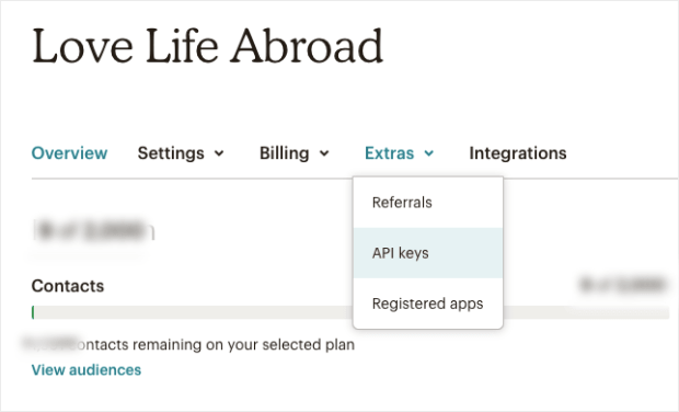 API keys in your MailChimp account-min