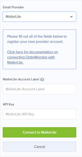 Mailerlite integration details
