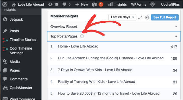 Páginas principales de MonsterInsights