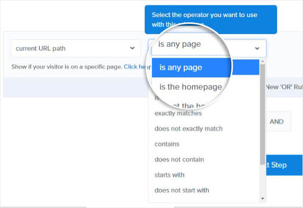 Page Targeting Any Page