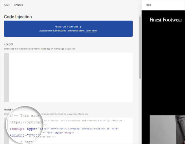Paste OptnMonster embed code in Squarespace footer