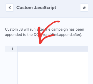 Add Custom JavaScript to Your Campaign