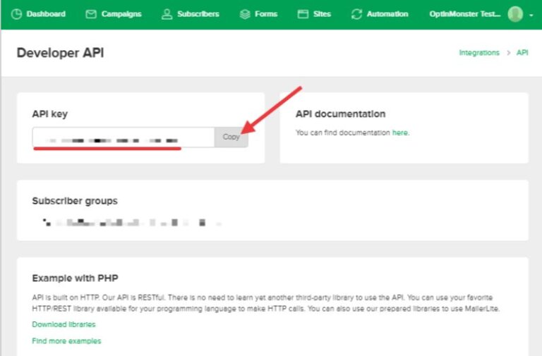 How to Connect OptinMonster with MailerLite