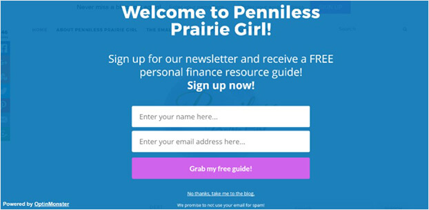 Penniless Prairie girl splash page_