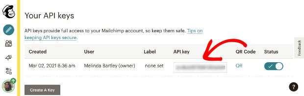 Copy api key in Mailchimp