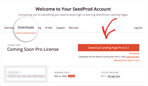 download the seedprod plugin