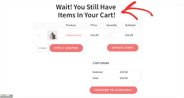 exit intent popup for woocommerce