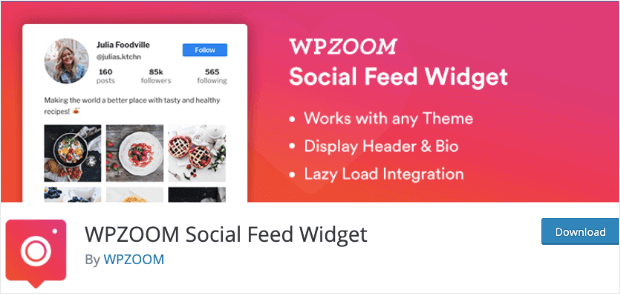 wpzoom social feed