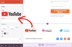 How to Create a Lead Capture Page in WordPress (The Easy Way)