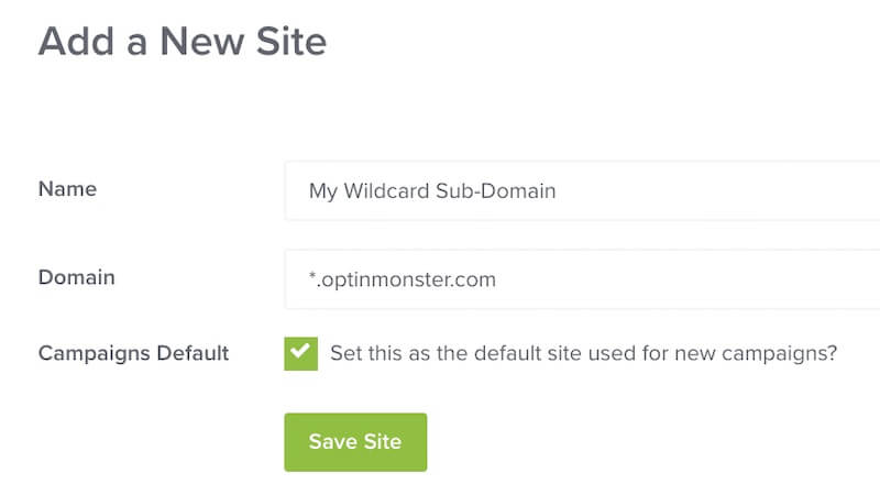 Registering a Wildcard Sub-Domain in OptinMonster.