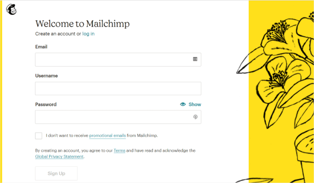 mailchimp review account signup