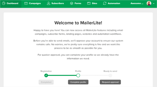 mailerlite approval