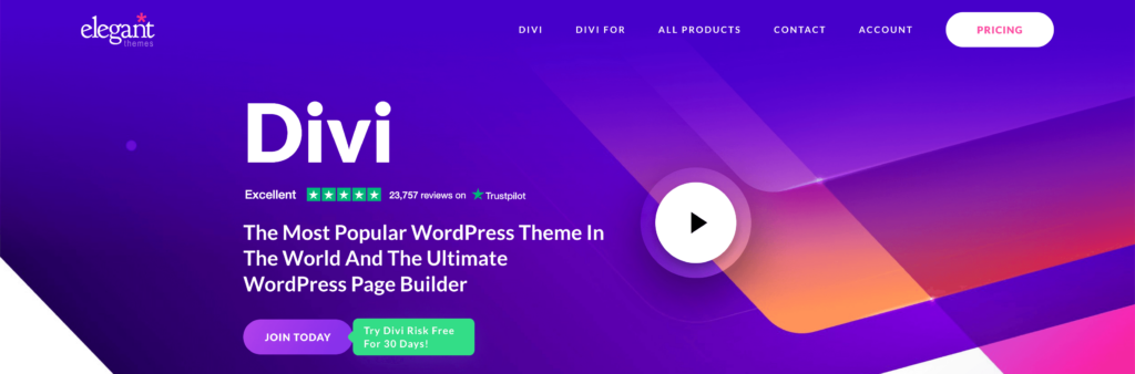 Divi - WordPress Theme Builder