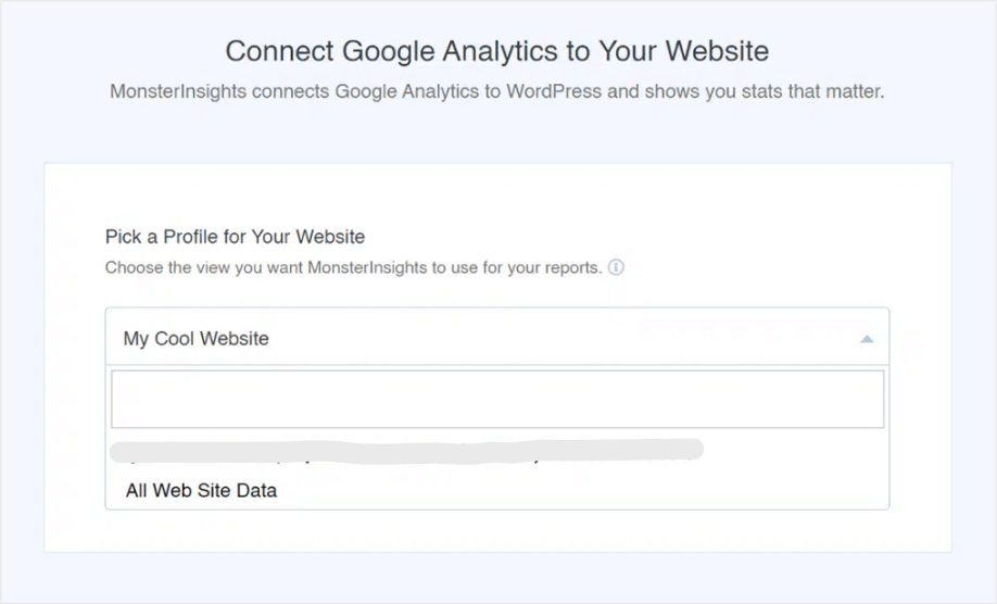 connect with google analytics