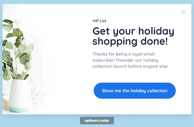 Website popup that says " VIP List. Get your holiday shopping done! Thanks for being a loyal email subscriber! Preorder our holiday collection launch before anyone else." The button says "Show me the holiday collection."