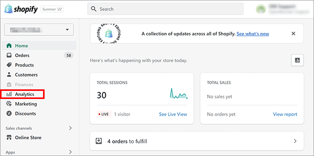 Shopify analytics screen