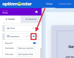 Field Mapping: How to Add Extra Fields to Your Campaign Form