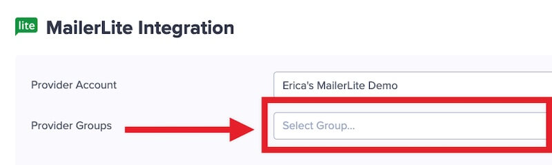 Select the MailerLite Group to add leads to.