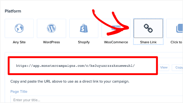 "Share Link" is available under "Platform" in the Publish tab