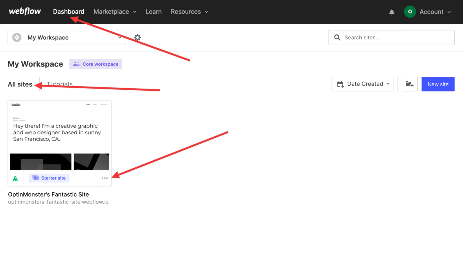 Webflow Dashboard Settings