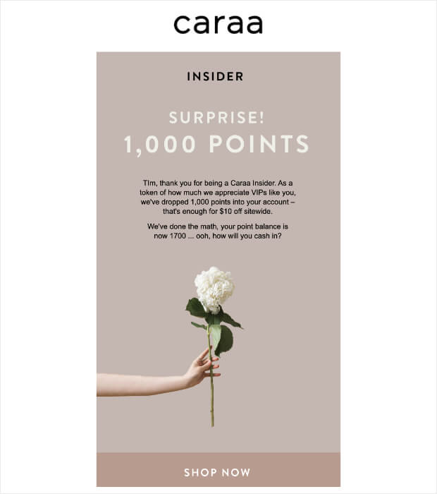 loyalty program email example