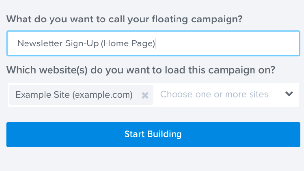 Screenshot of the name and website fields for a floating bar campaign.