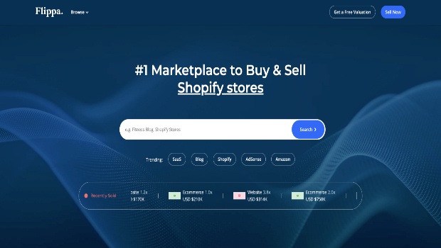 buy a shopify store