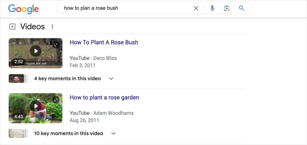 Google video results for the query "how to plan a rose bush."