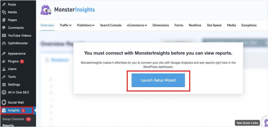 Screenshot of WordPress dashboard. "Insights" in the left menu is selected. The user is prompted to click "Launch Setup Wizard."