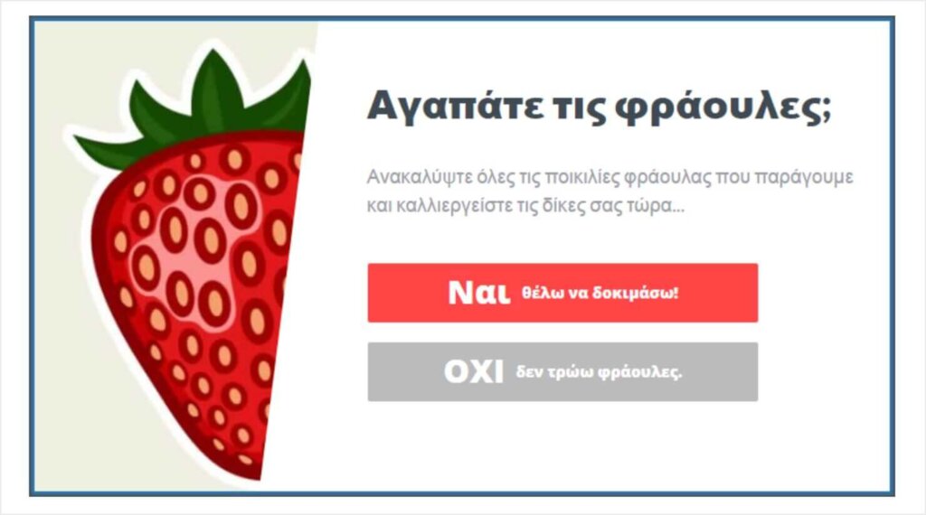 Olyplant's strawberry popup example. It's a type of popup for bounce rate reduction.