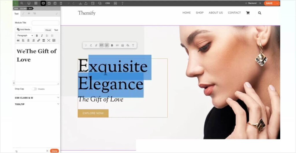 Themify WordPress page builder