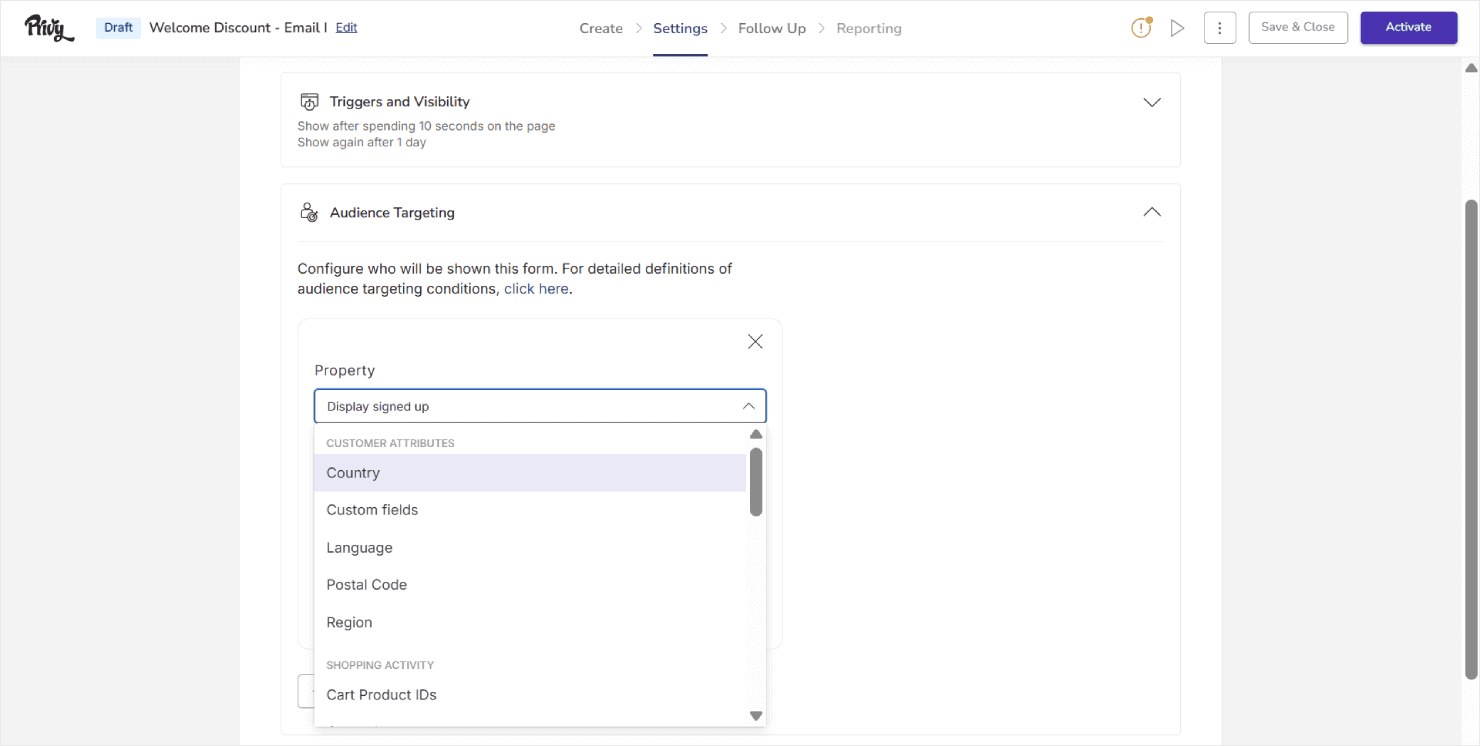 Privy's targeting and display rules